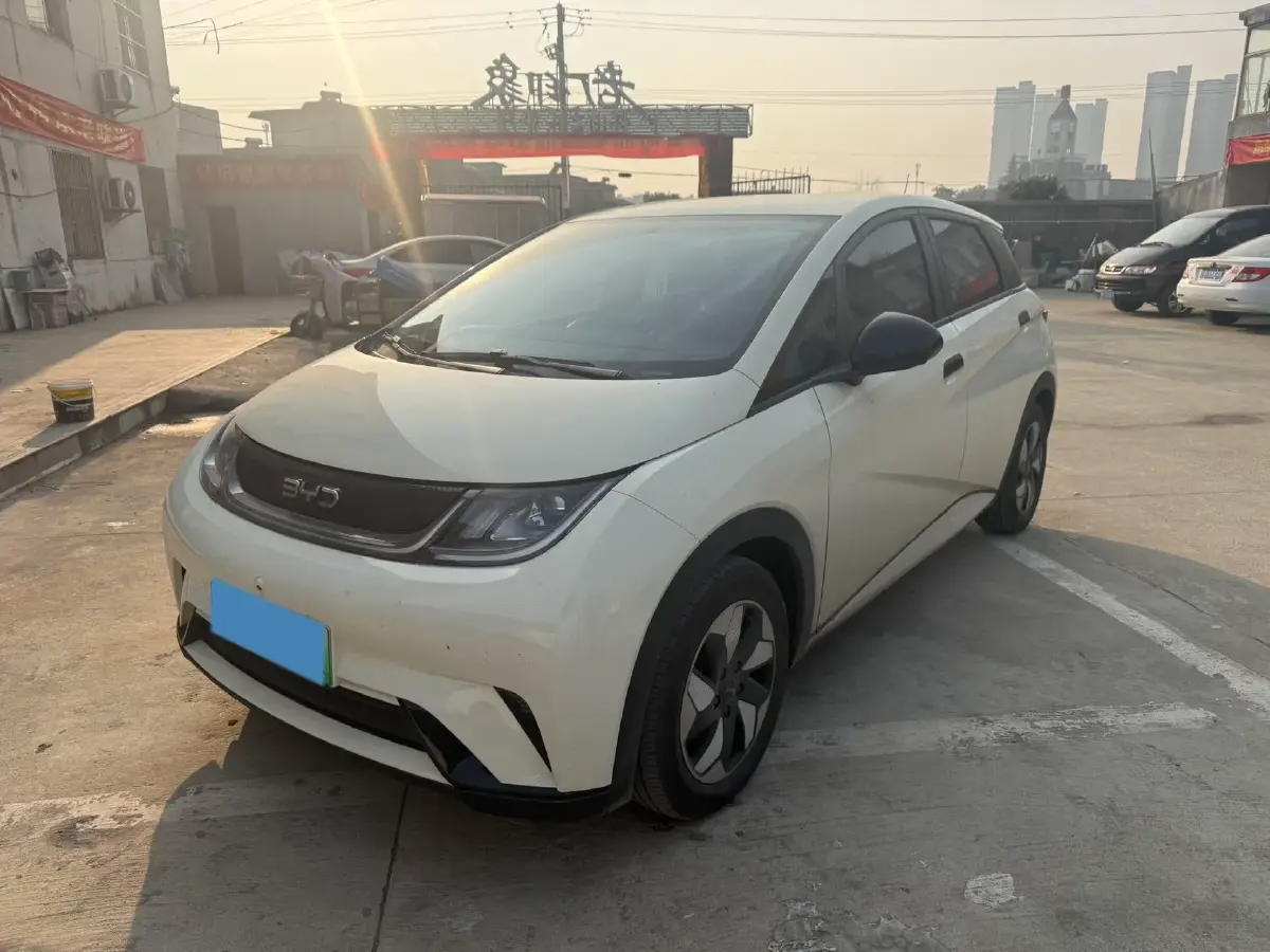 2024 BYD Dolphin BEV 44.928KWH