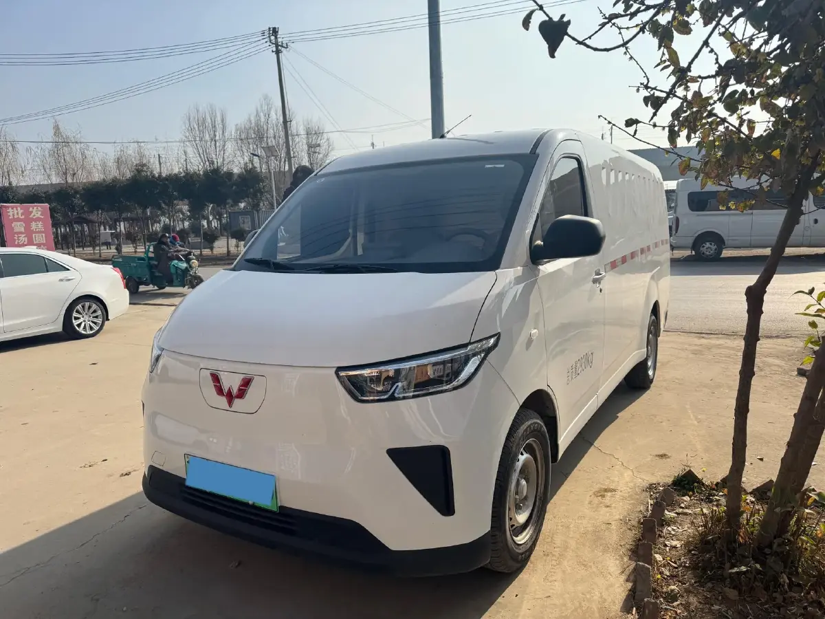 2024 WuLing YangGuang BEV 41.9KWH