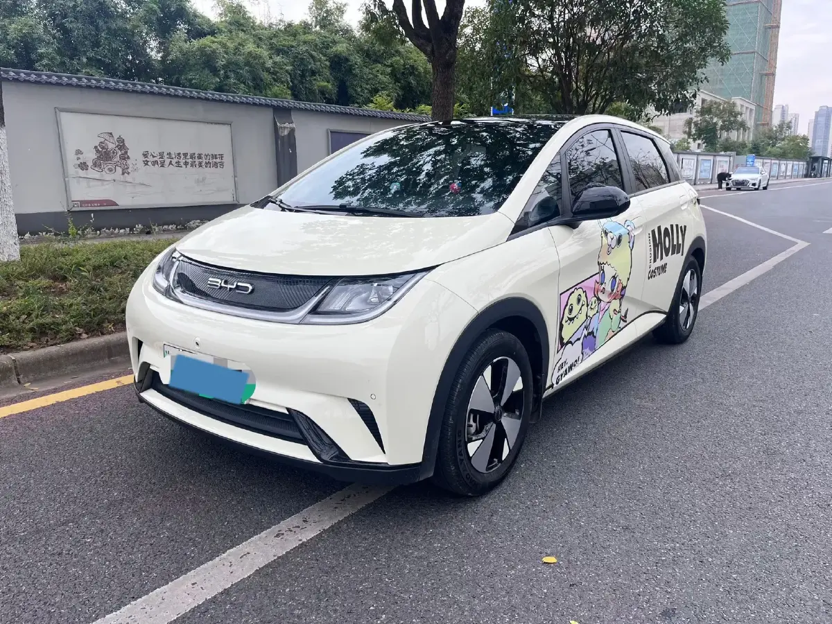 2023 BYD Dolphin BEV 44.928KWH