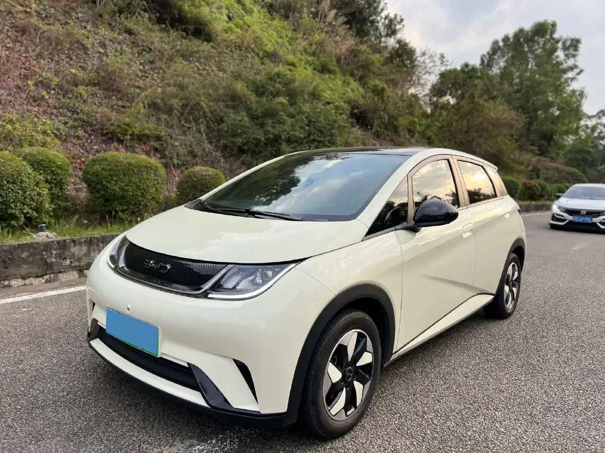 2025 BYD Dolphin BEV 44.928KWH