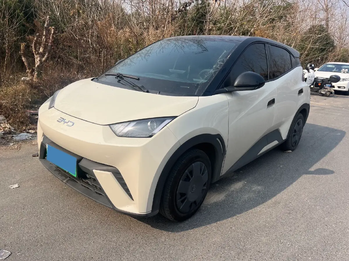 2025 BYD Seagull BEV 30.08KWH