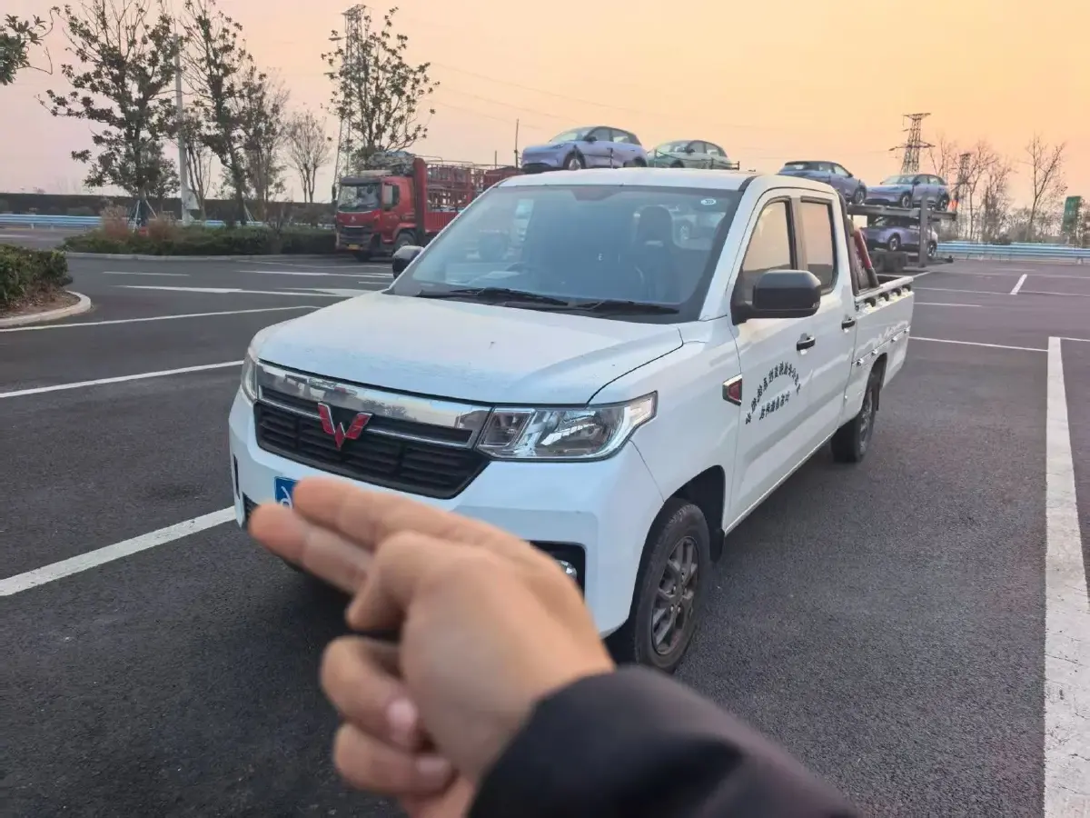 2021 WuLing ZhentTu 1.5L 99HP L4 5MT