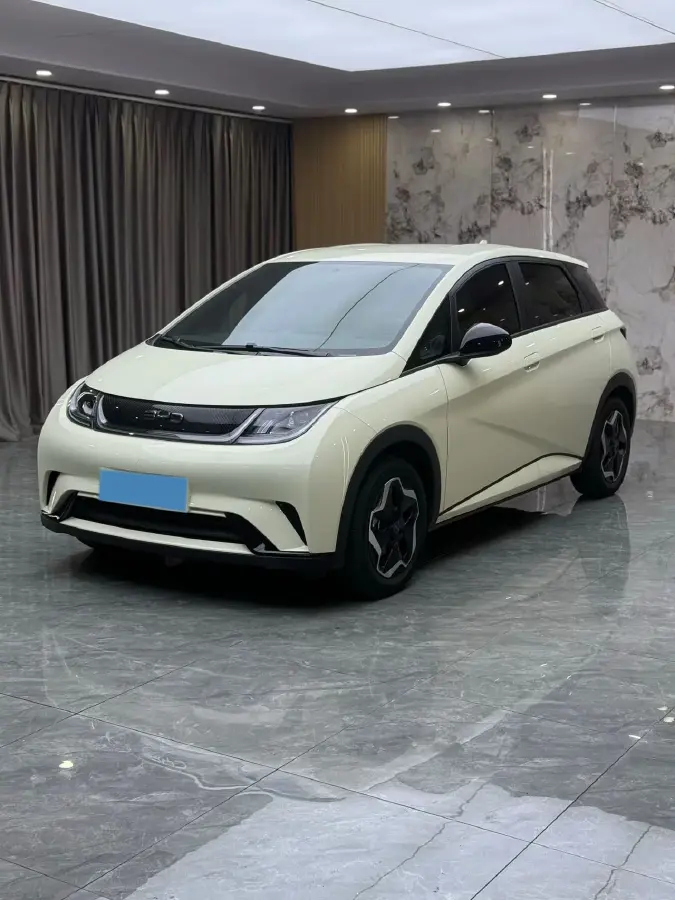 2024 BYD Dolphin BEV 44.928KWH