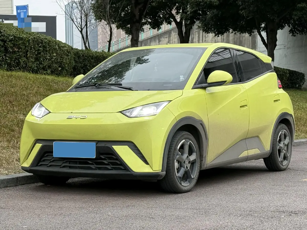 2024 BYD Seagull BEV 30.08KWH