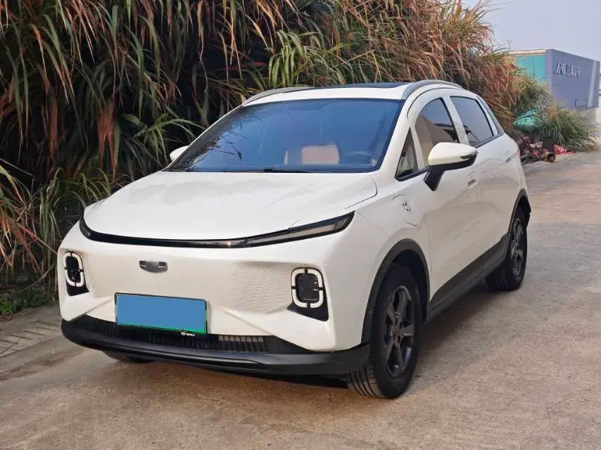 2024 Geometry E BEV 29.67KWH