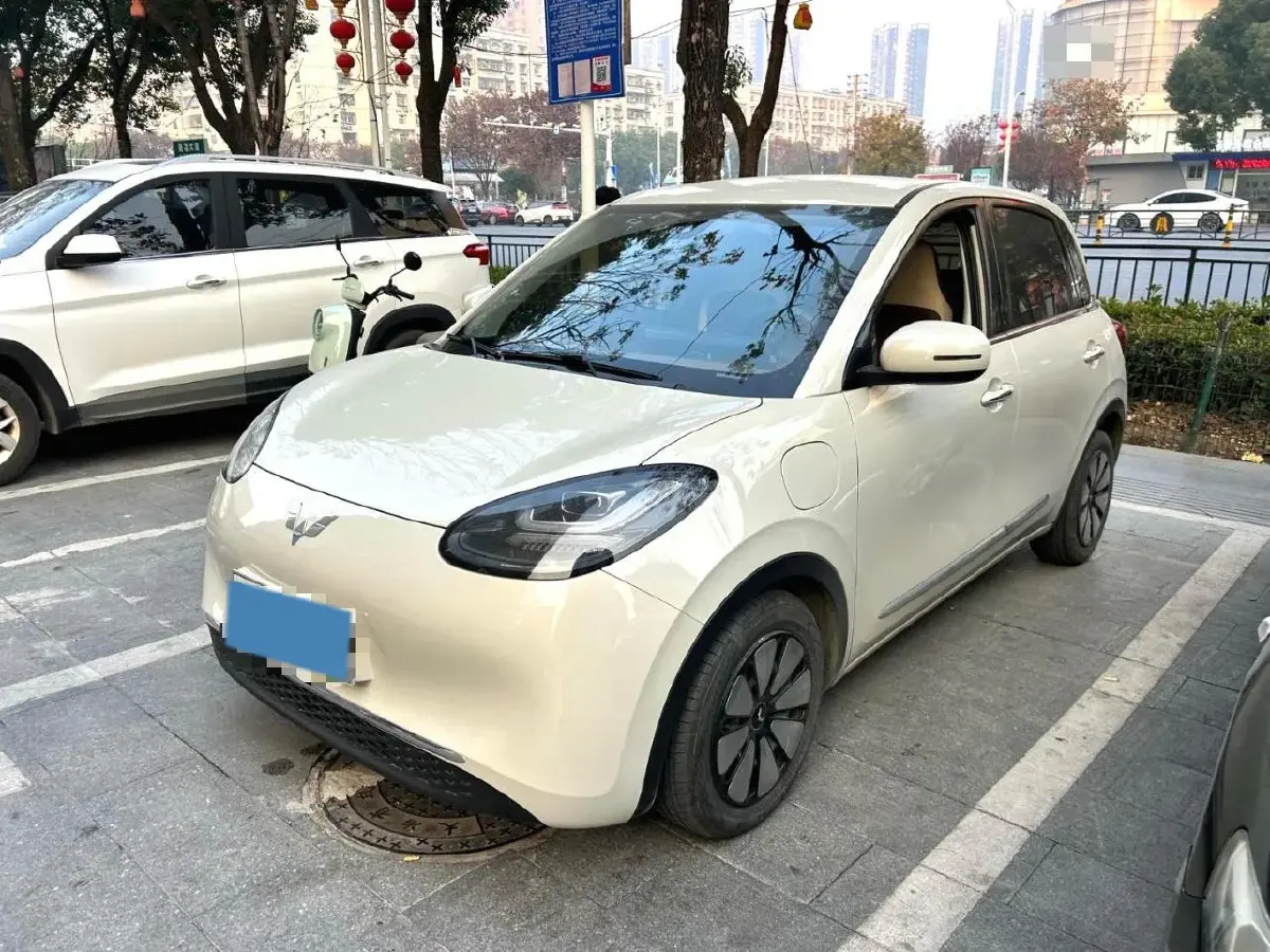 2023 WuLing BinGuo BEV 31.9KWH