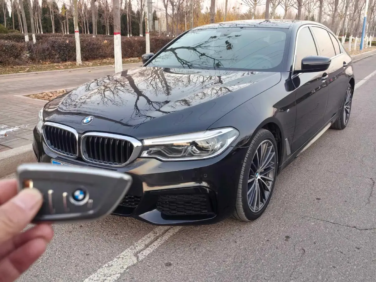 2020 BMW 5 Series 2.0T 252HP L4 8AT