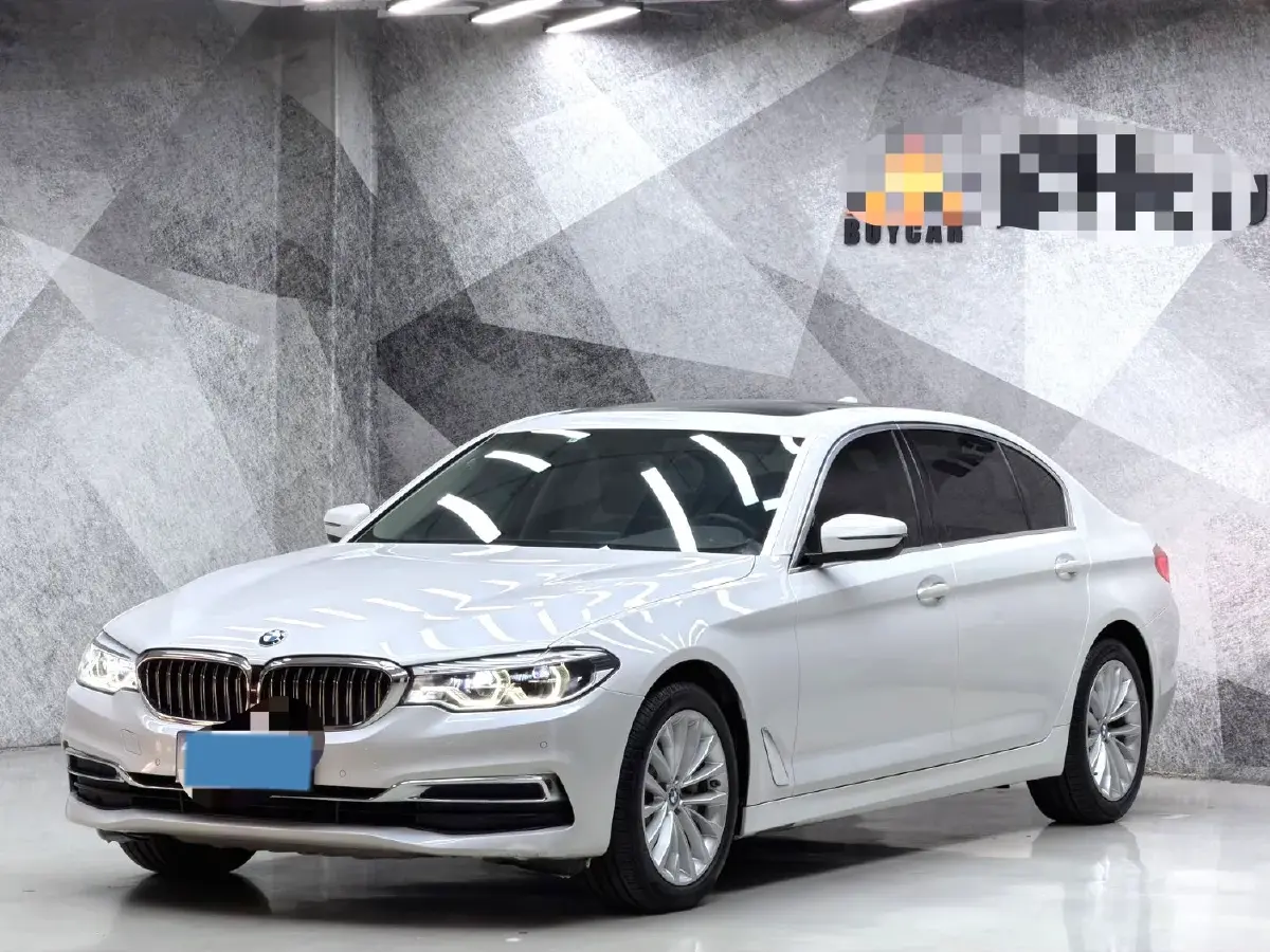 2020 BMW 5 Series 2.0T 252HP L4 8AT