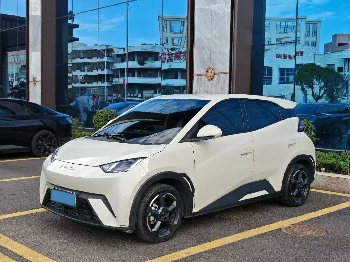 2023 BYD Yuan Pro BEV 38KWH