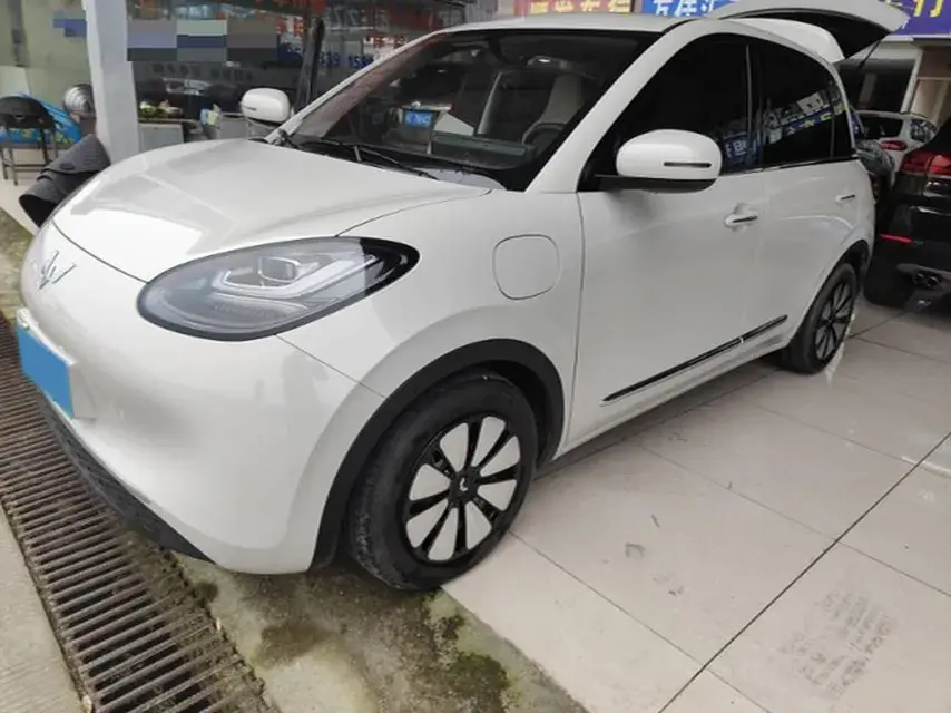 2023 WuLing BinGuo BEV 31.9KWH