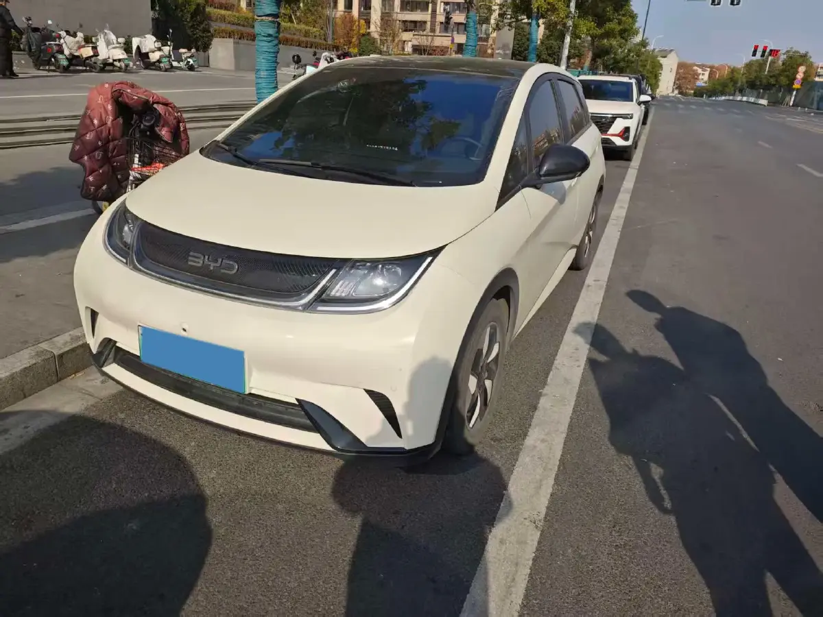 2025 BYD Dolphin BEV 44.928KWH