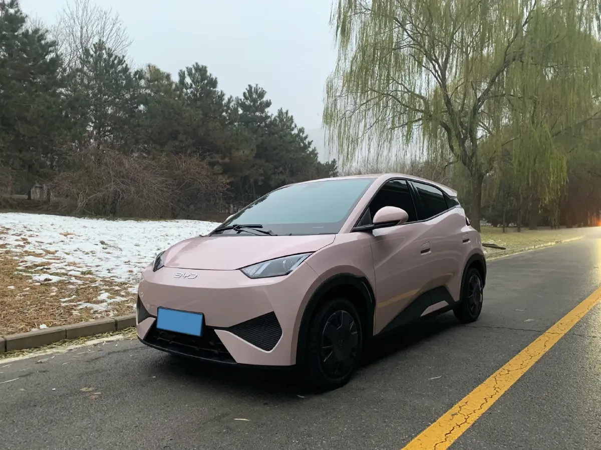 2025 BYD Seagull BEV 30.08KWH