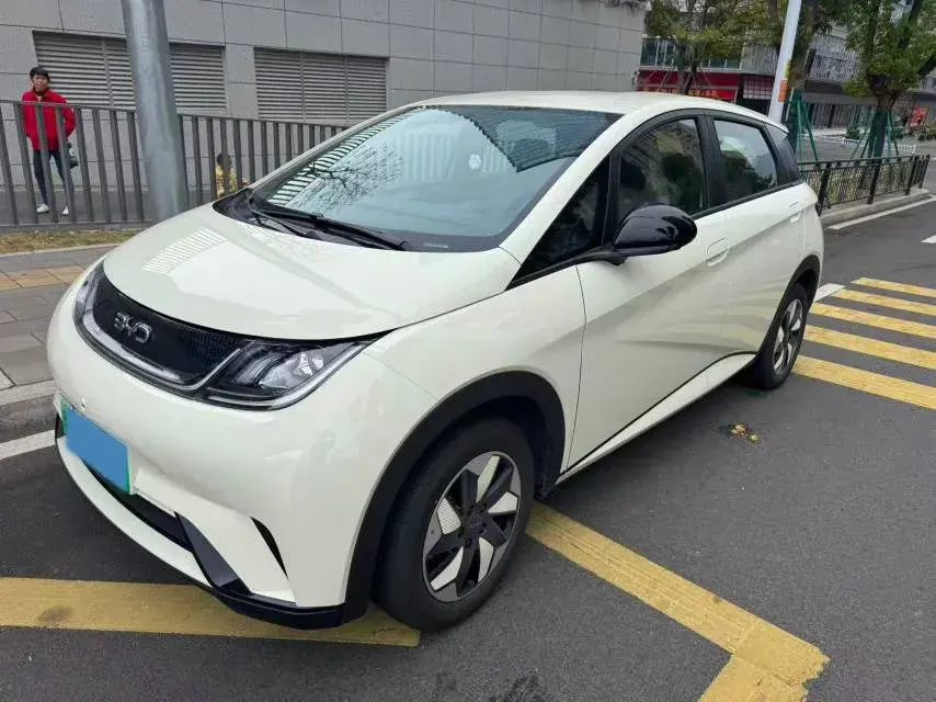 2025 BYD Dolphin BEV 44.928KWH