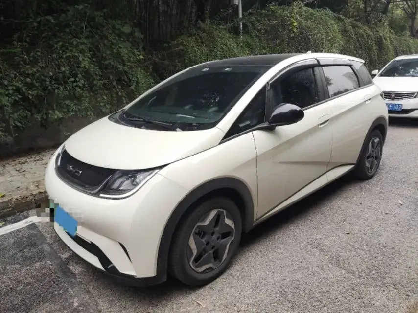 2021 BYD Yuan Pro BEV 50.1KWH