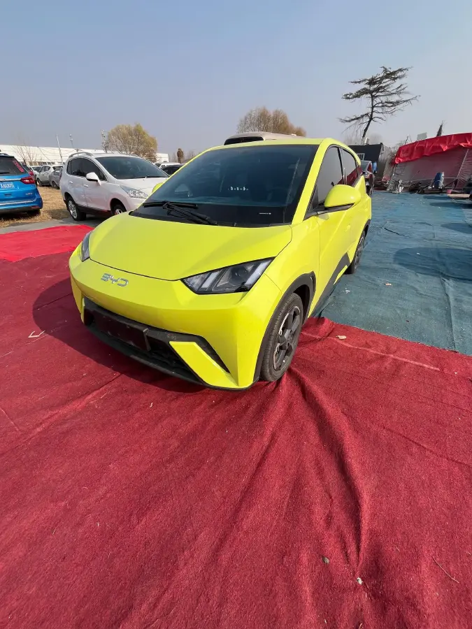 2023 BYD Yuan Pro BEV 38KWH