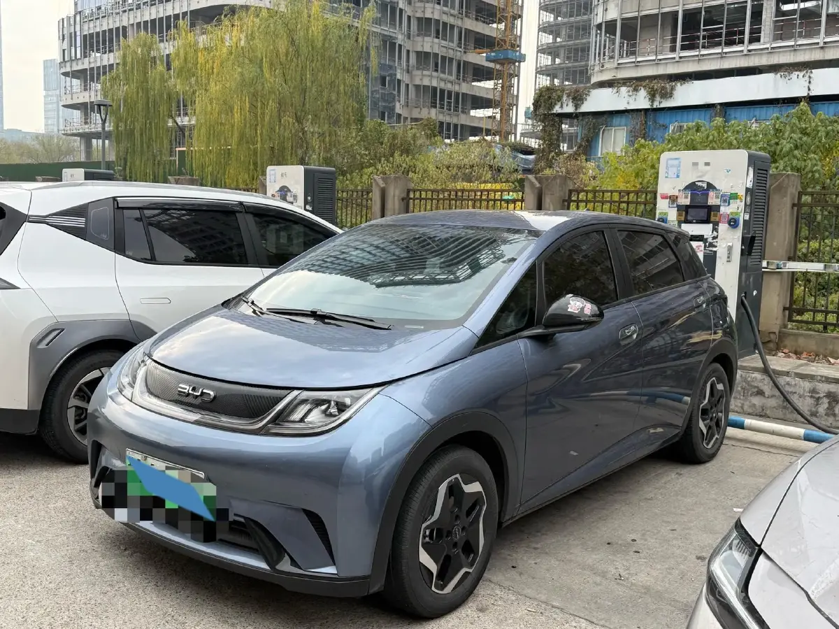 2024 BYD Dolphin BEV 44.928KWH