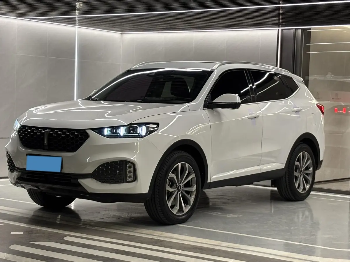 2020 WEY VV6 2.0T 227HP L4 7DCT