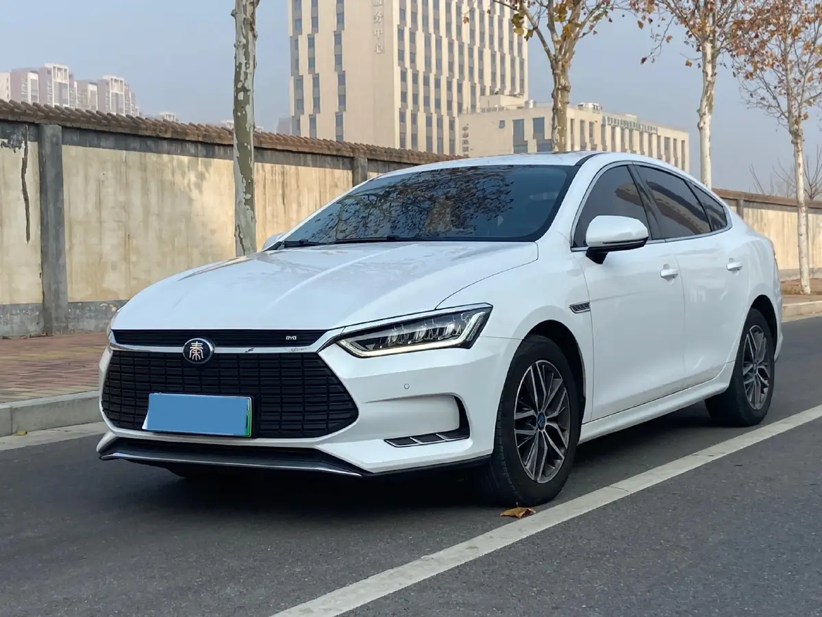 2019 BYD Qin Pro BEV 56.4KWH