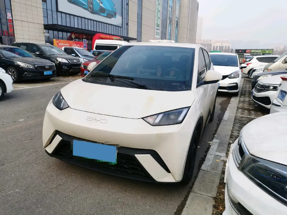 2024 BYD Seagull BEV 30.08KWH
