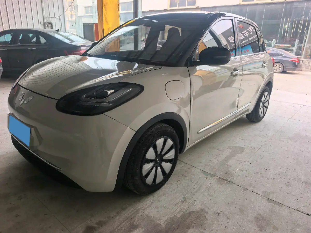2023 WuLing BinGuo BEV 31.9KWH