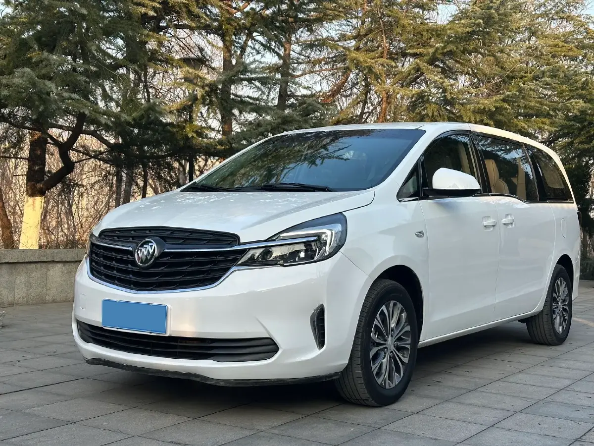 2021 Buick GL8 2.0T 237HP L4 9AT