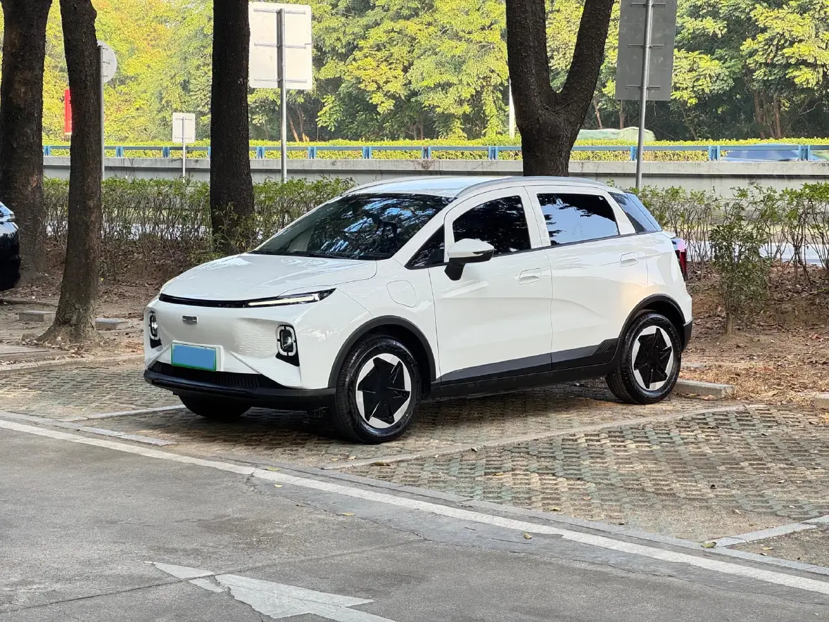 2024 Geometry E BEV 29.67KWH