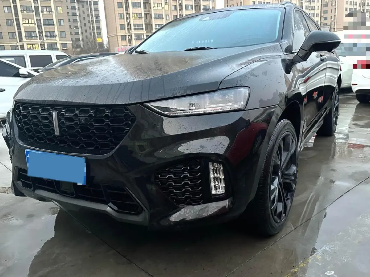 2019 WEY VV7 2.0T 227HP L4 7DCT