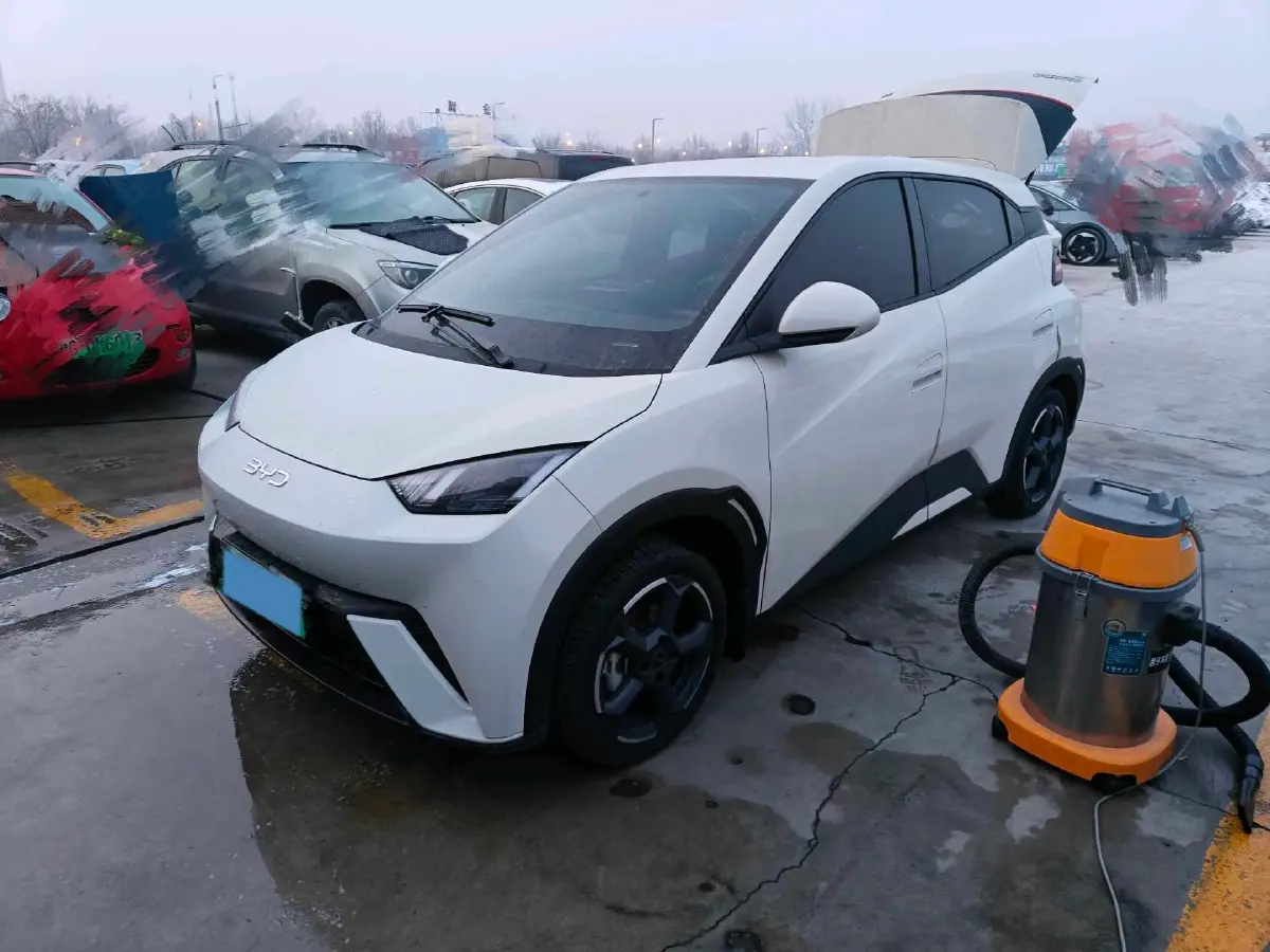 2023 BYD Yuan Pro BEV 38KWH