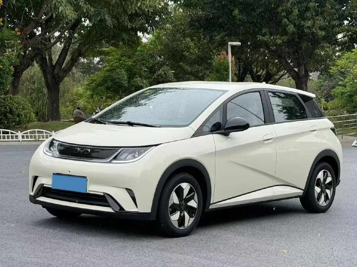 2025 BYD Dolphin BEV 44.928KWH