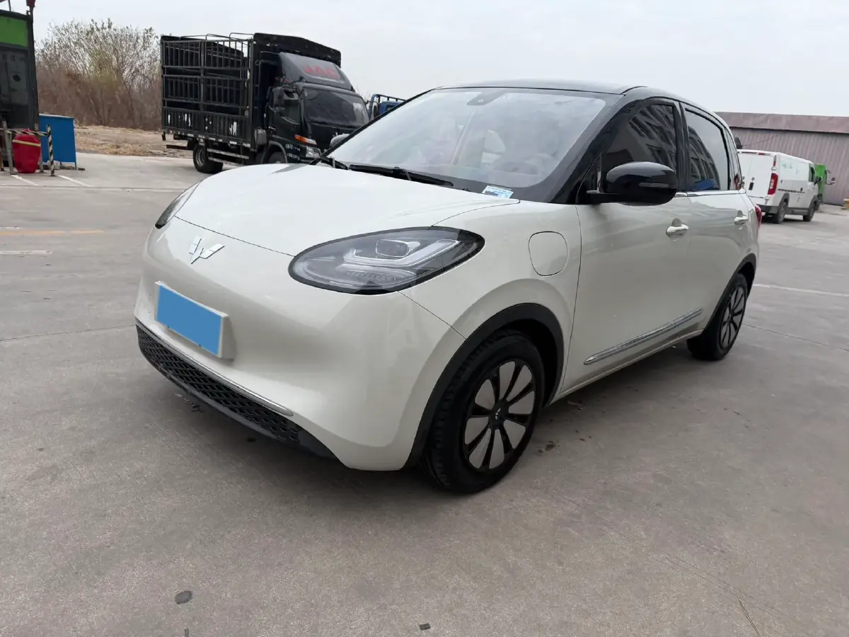 2023 WuLing BinGuo BEV 31.9KWH