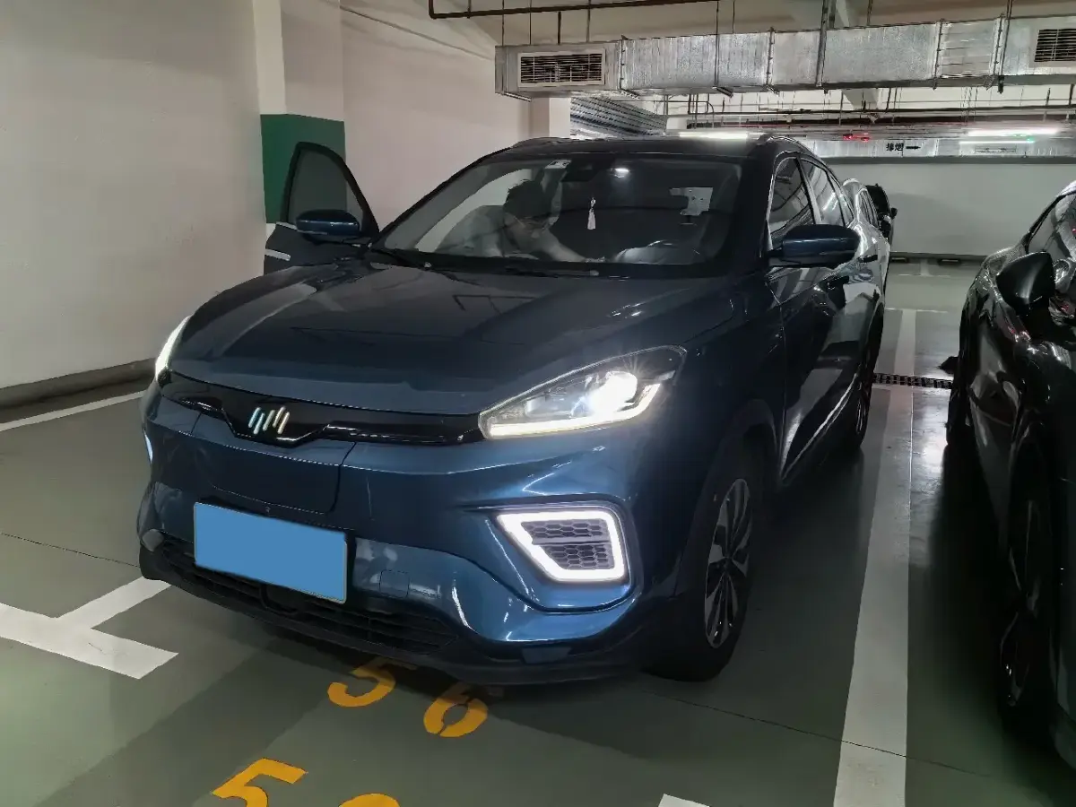 2019 Weltmeister EX5 BEV 69KWH