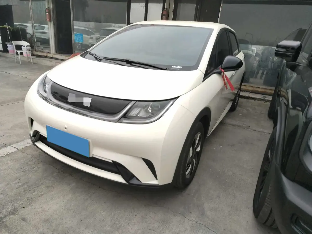 2025 BYD Dolphin BEV 44.928KWH