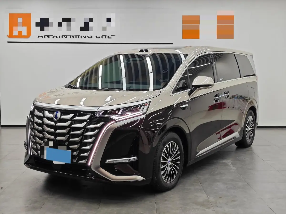 2025 Denza D9 1.5T 156HP L4 E-CVT PHEV