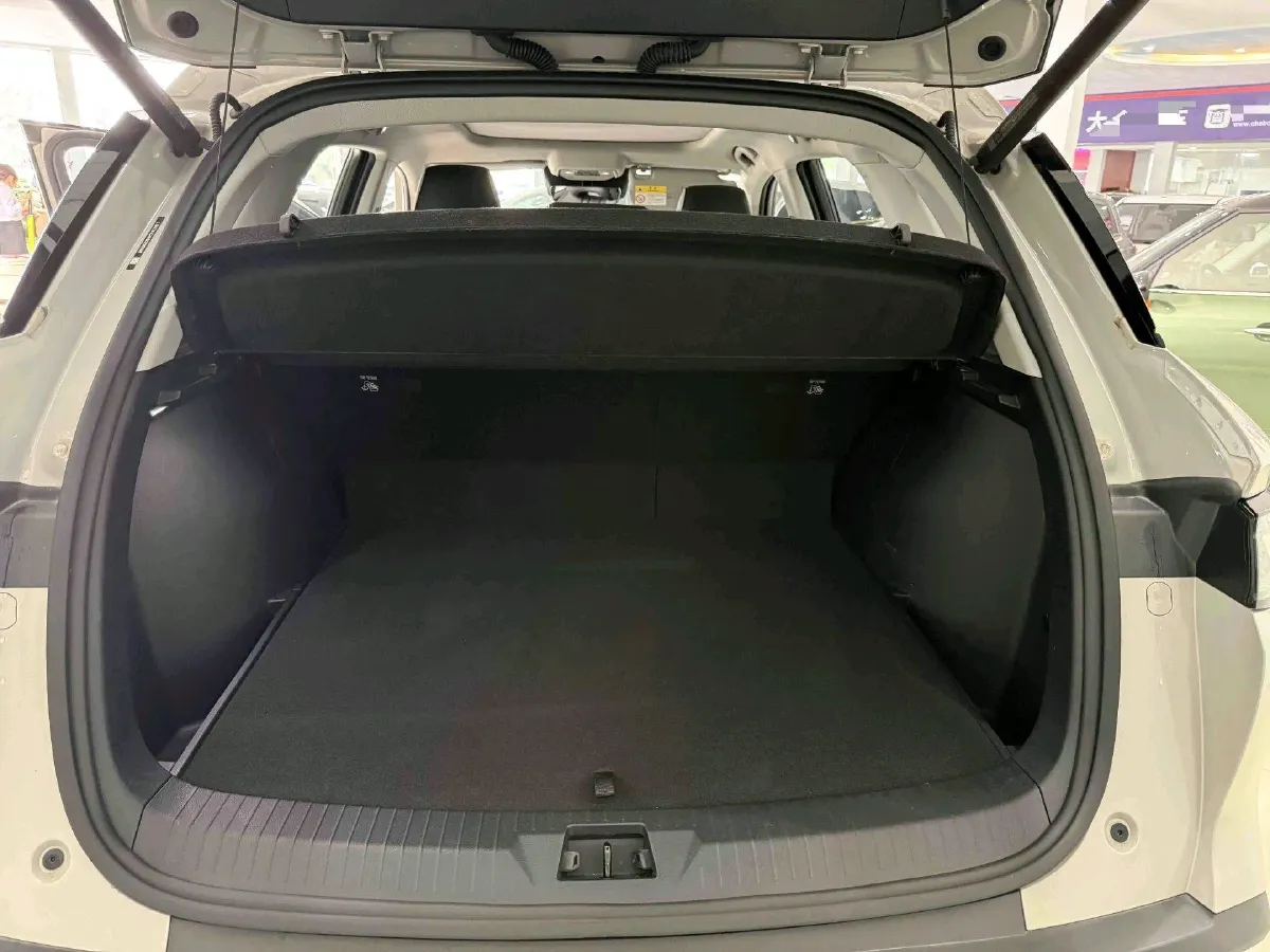 2025 BYD Sea Lion 05 DM-i 1.5L 101HP L4 E-CVT PHEV 18.3KWH,autocango,china used car exporter,china ev exporter,chinese used car exporter,chinese used ev exporter