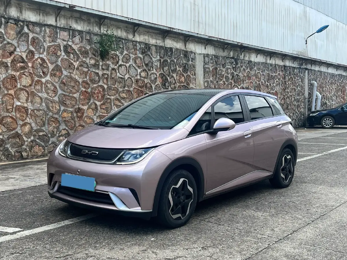 2021 BYD Yuan Pro BEV 50.1KWH