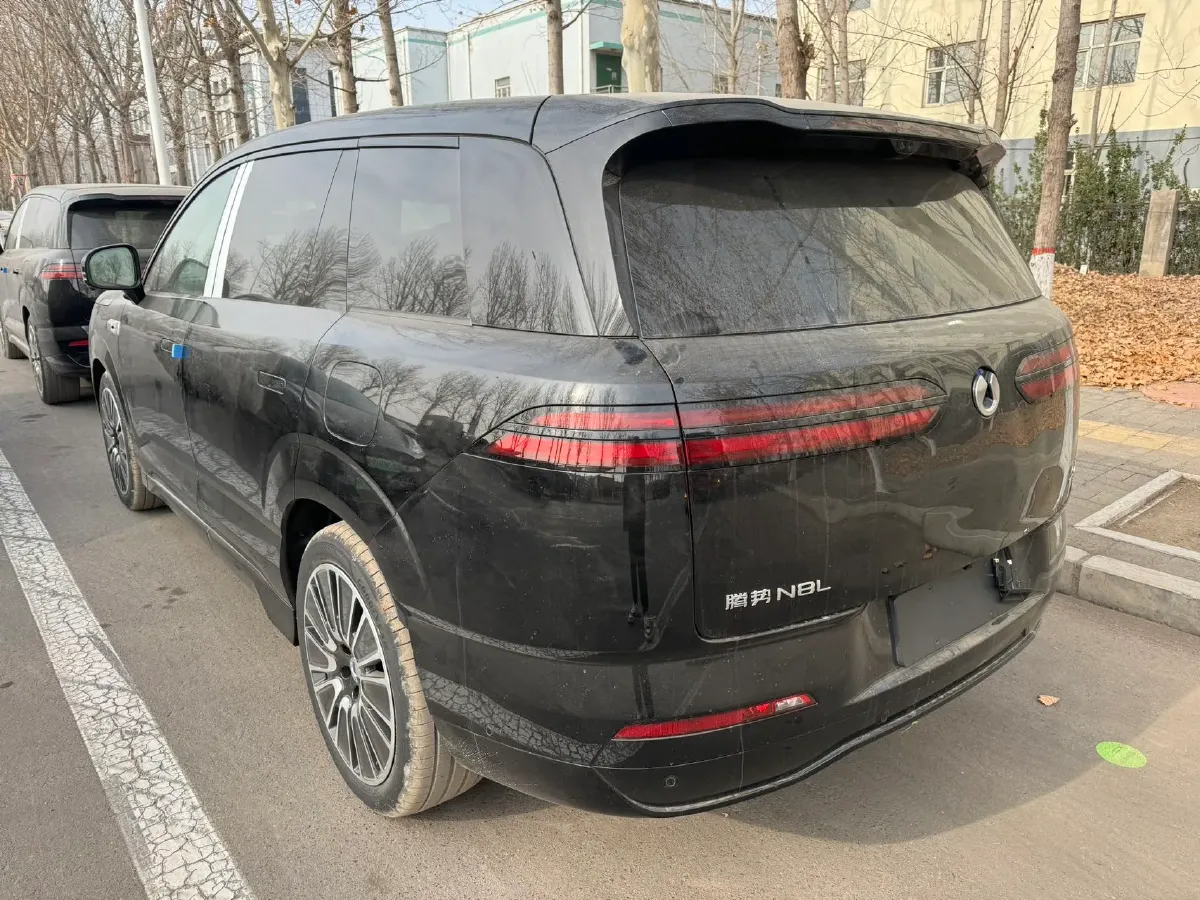 2025 Denza DenzaN8L 2.0T 207HP L4 E-CVT PHEV,autocango,china used car exporter,china ev exporter,chinese used car exporter,chinese used ev exporter