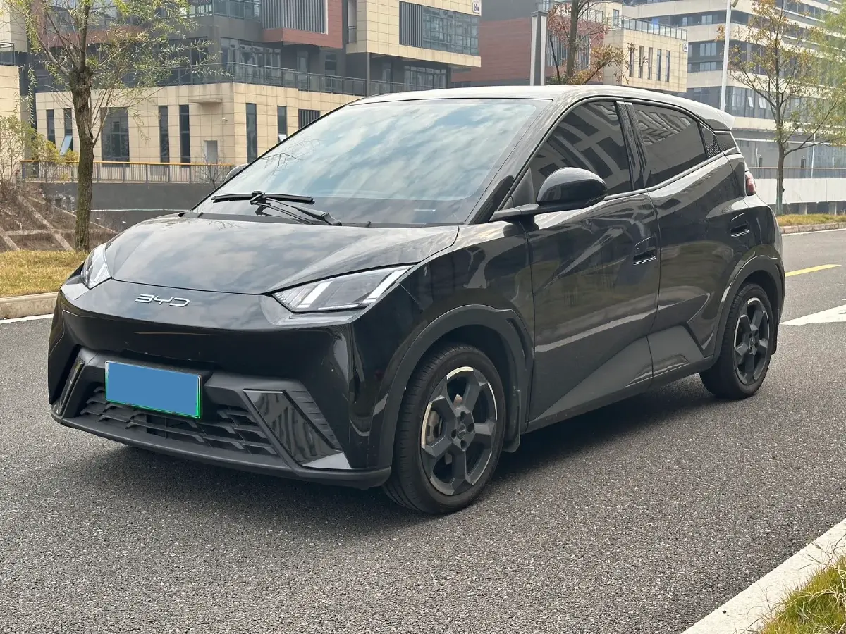 2023 BYD Yuan Pro BEV 38KWH