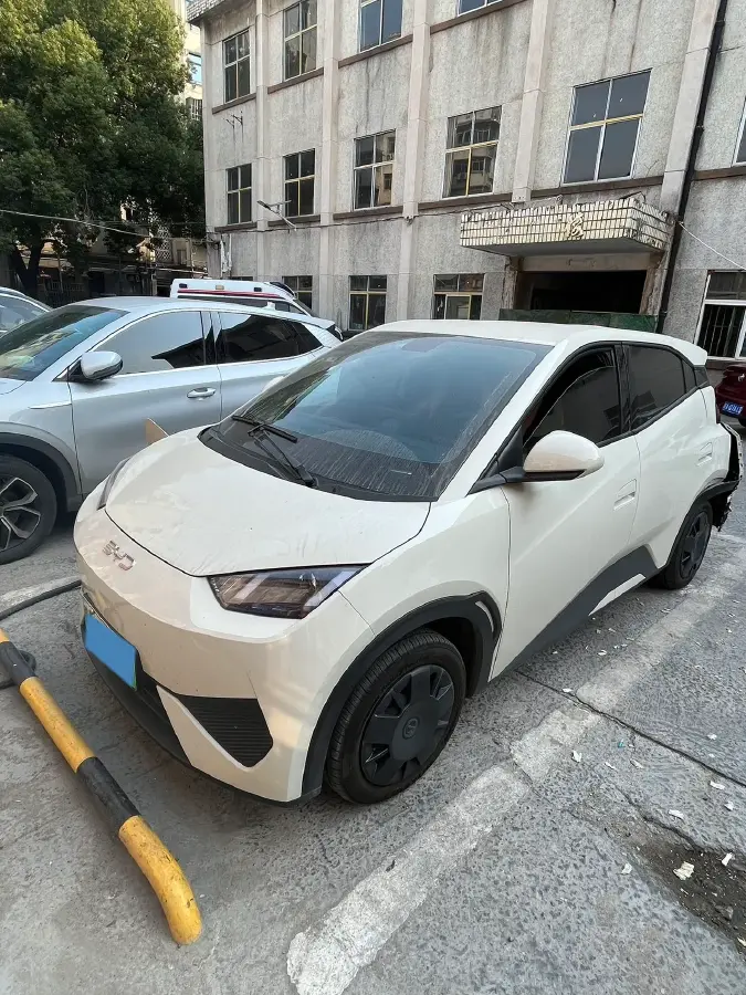 2025 BYD Seagull BEV 30.08KWH