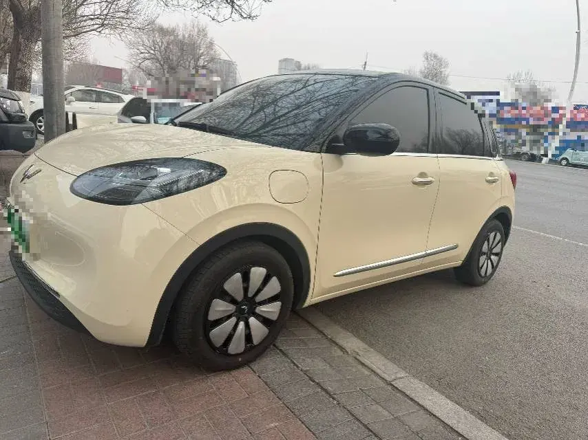 2024 WuLing BinGuo BEV 31.9KWH