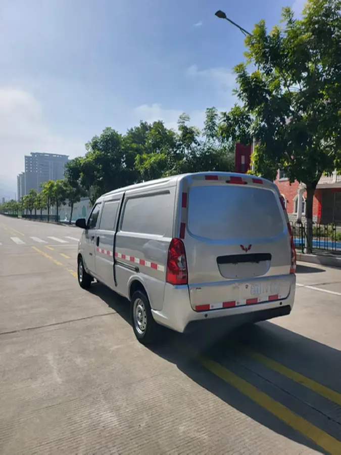 2021 WuLing EV50 BEV 41.6KWH,autocango,china used car exporter,china ev exporter,chinese used car exporter,chinese used ev exporter
