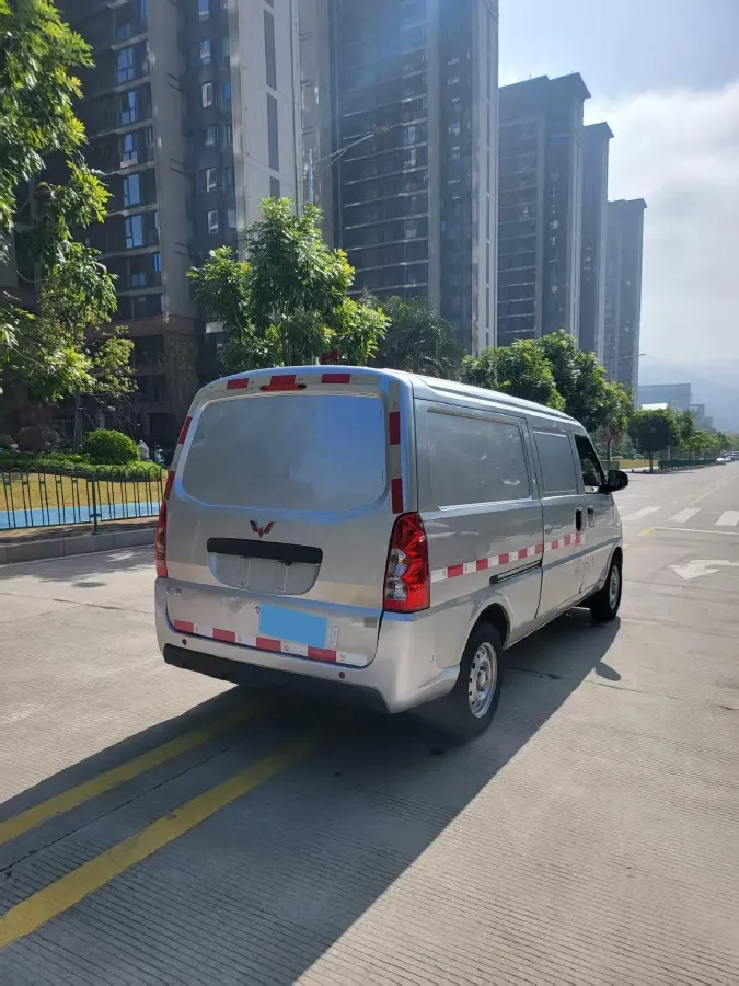 2021 WuLing EV50 BEV 41.6KWH,autocango,china used car exporter,china ev exporter,chinese used car exporter,chinese used ev exporter
