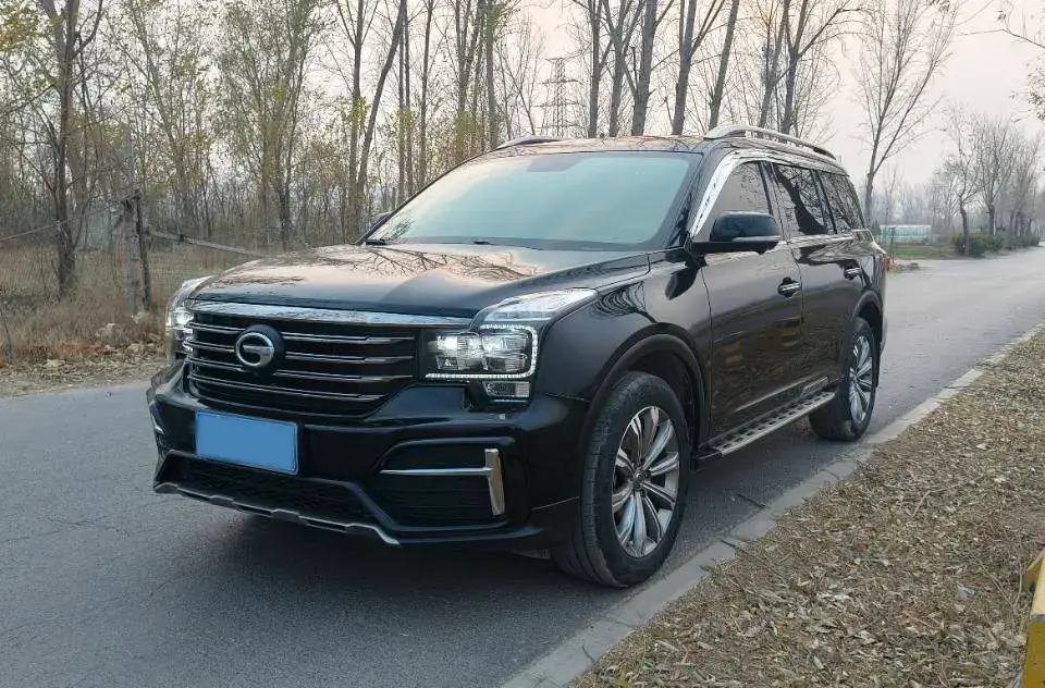 2020 GAC Trumpchi GS8 2.0T 252HP L4 6AT