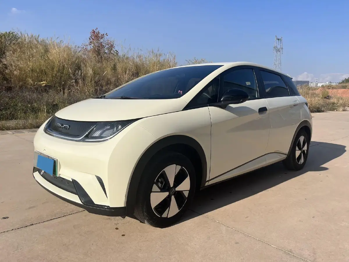 2021 BYD Yuan Pro BEV 50.1KWH