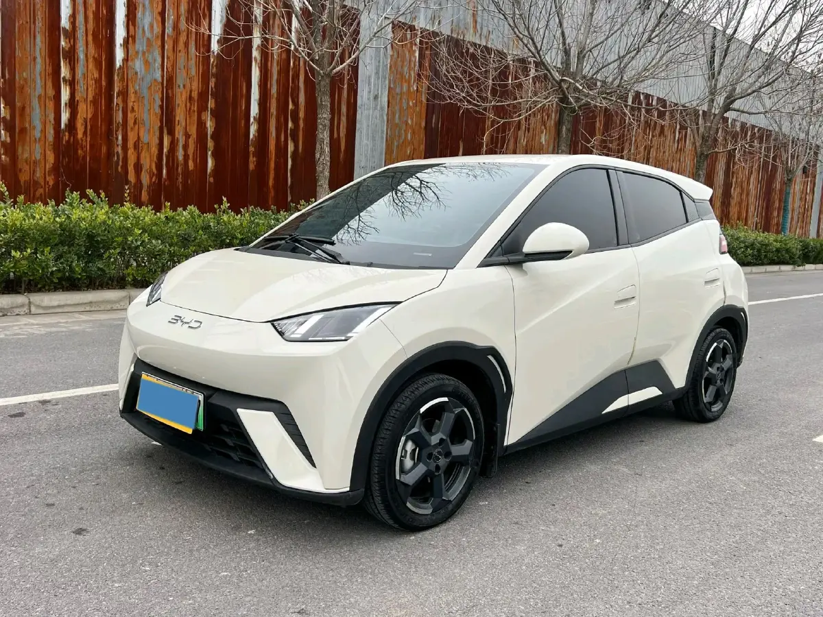 2023 BYD Yuan Pro BEV 38KWH