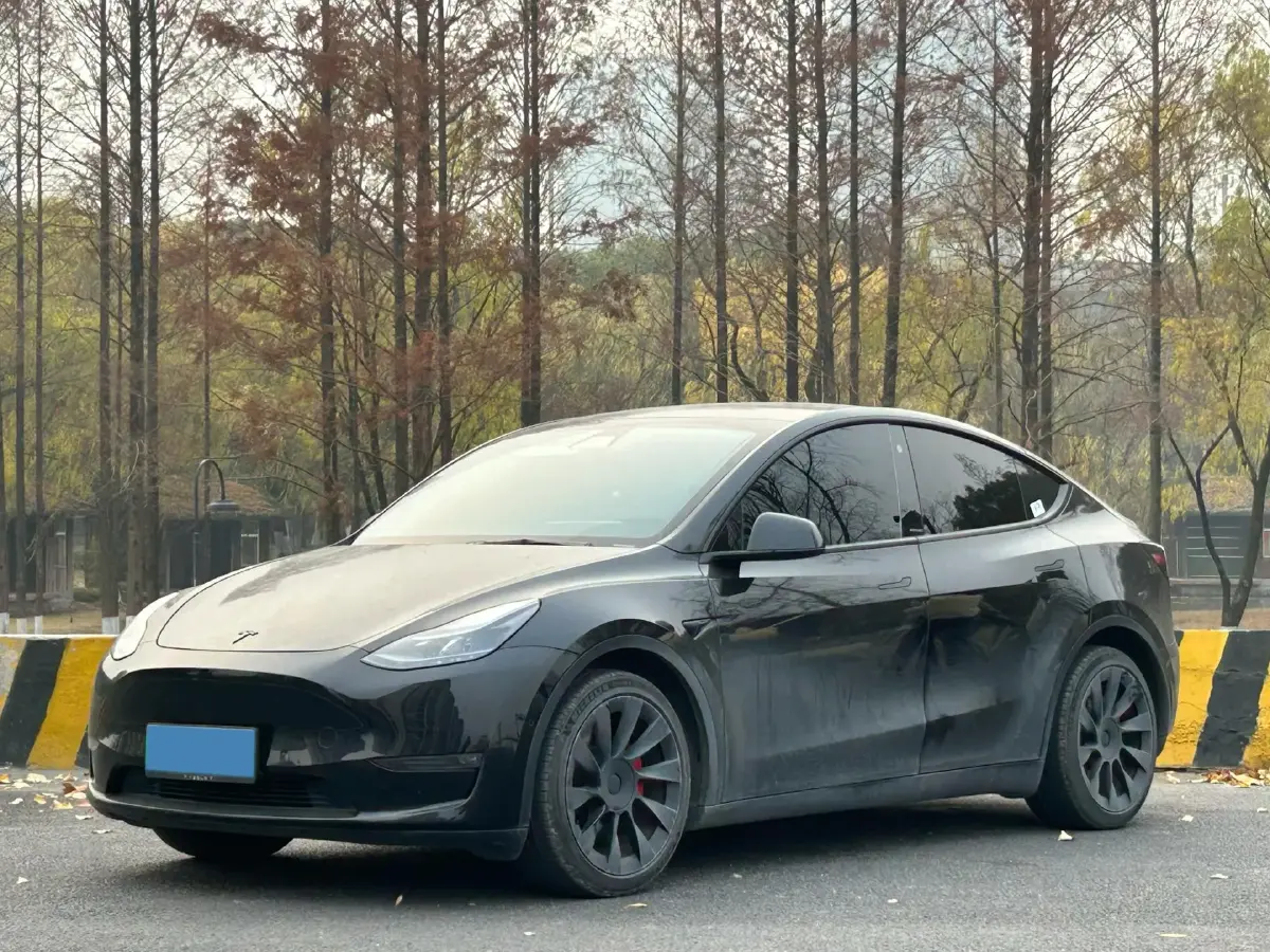 2021 Tesla Model Y BEV 76.8KWH