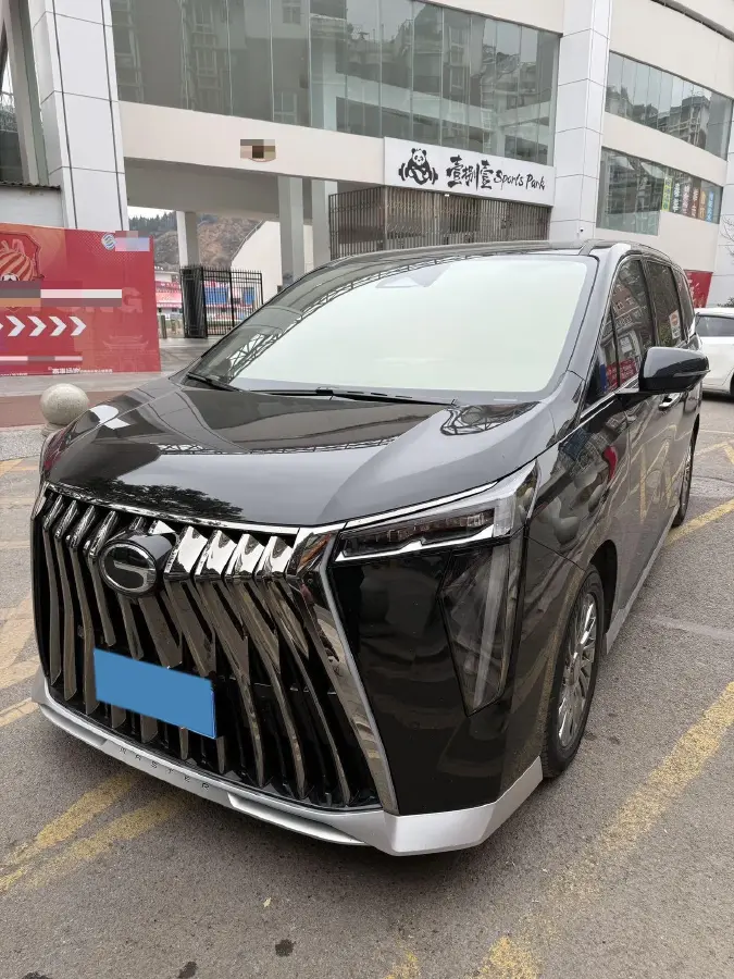 2024 GAC Trumpchi M8 2.0T 252HP L4 8AT