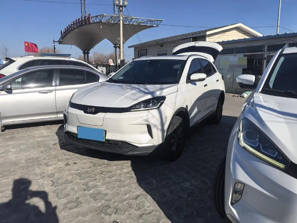 2019 Weltmeister EX5 BEV 56.94KWH