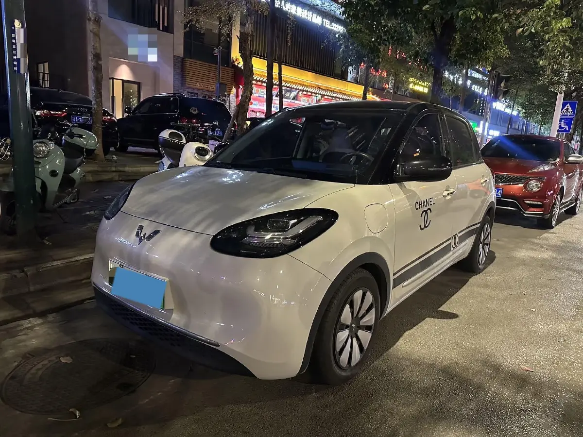 2023 WuLing BinGuo BEV 31.9KWH