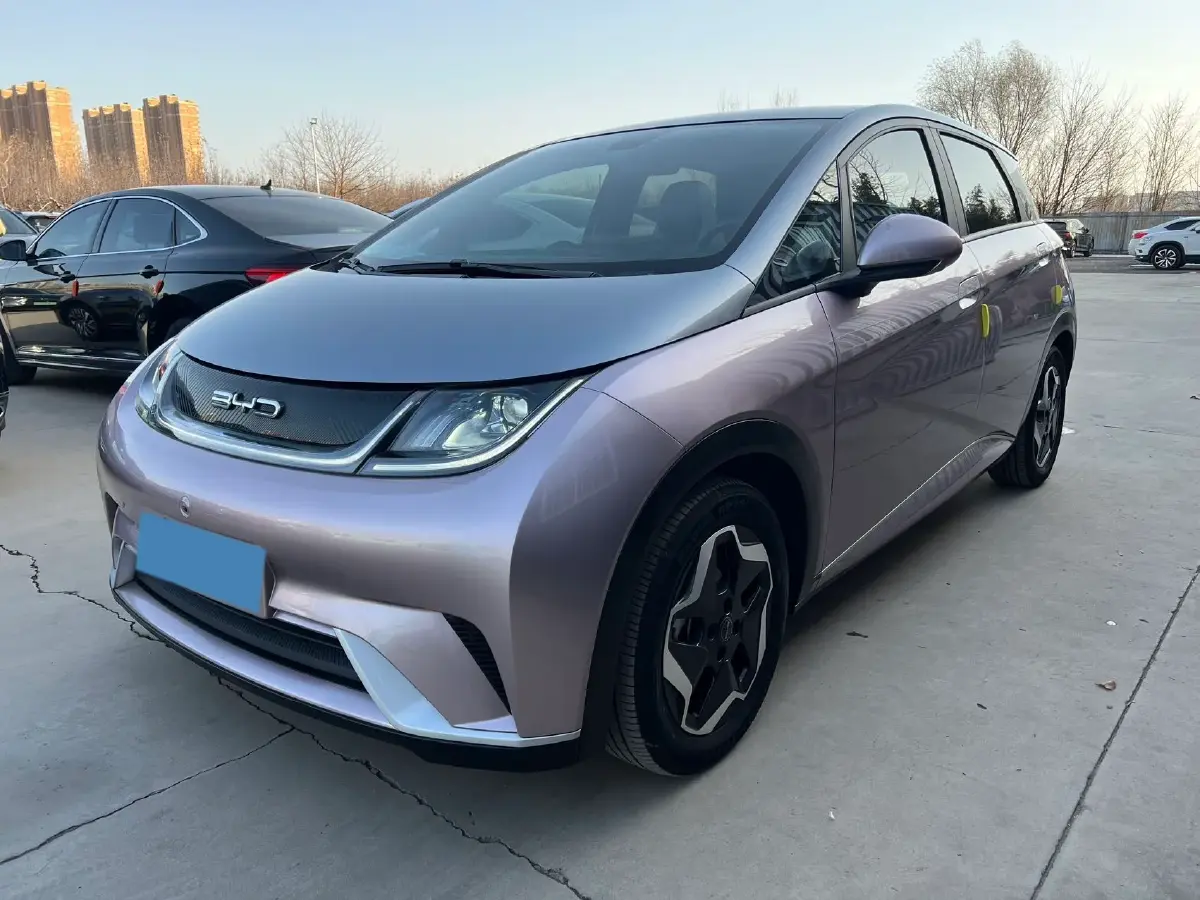 2021 BYD Yuan Pro BEV 50.1KWH