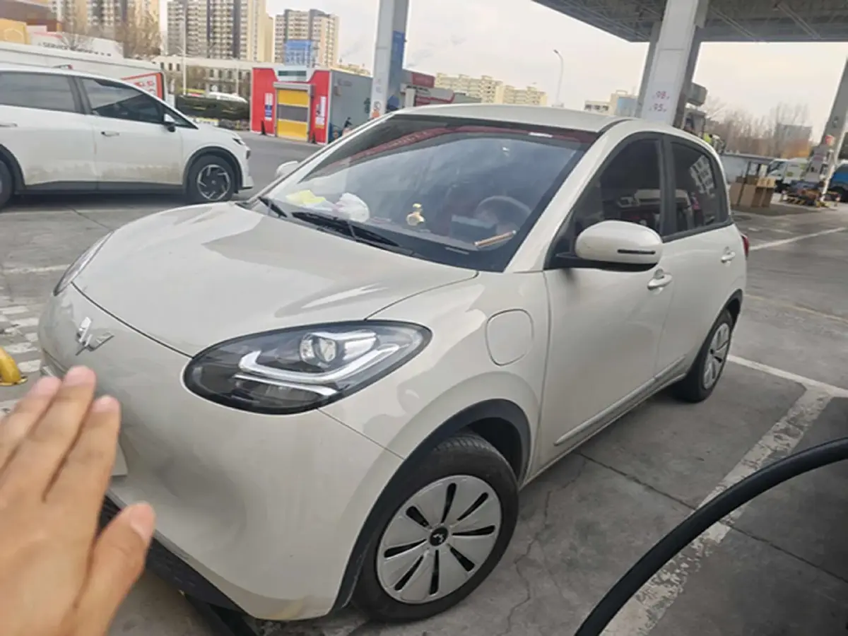 2025 WuLing BinGuo BEV
